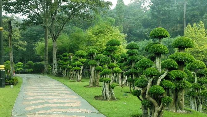 تور کوالالامپور - رسپینا24